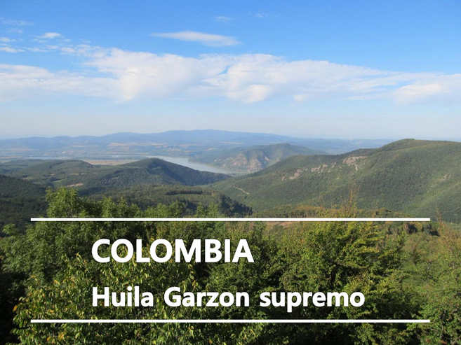 어라운드트레이딩 콜롬비아 후일라 수프리모 생두, 1개, 1kg