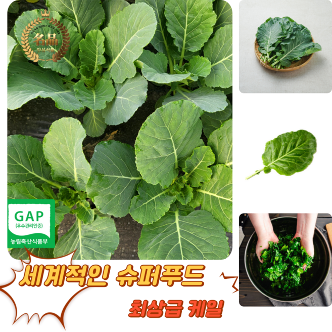 [굿피플] 케일 케일쌈용 친환경케일 쌈채소 [쌈용], 1박스, 1kg