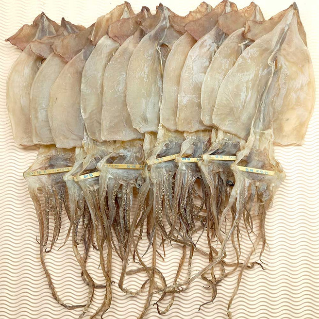 동해안 건조 오징어 400그램 10마리 원양산, 400g  10미, 1개