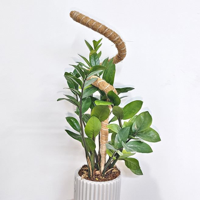 몬스테라 슬림 수태봉 넝쿨 식물 화분 리스 지지대 80cm, 1개