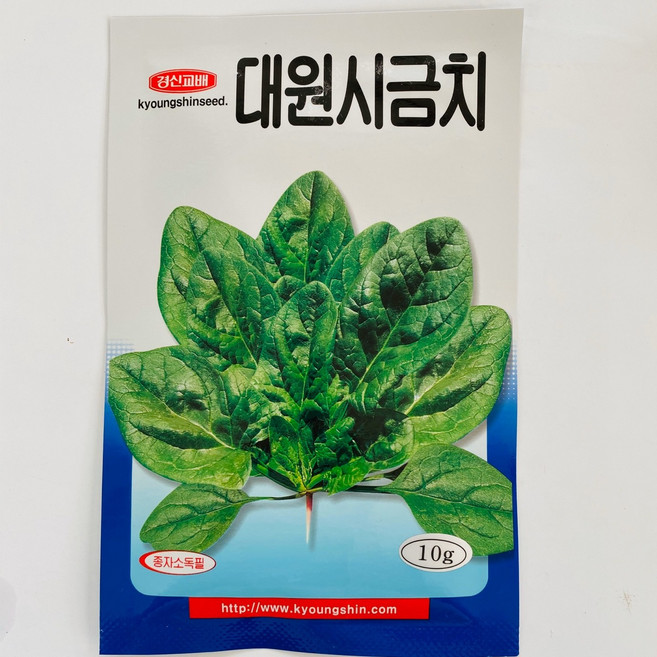 청년농부 대원 시금치씨앗 - 상추씨앗 각종씨앗 채소씨앗 열무씨앗 콩씨앗, 1개