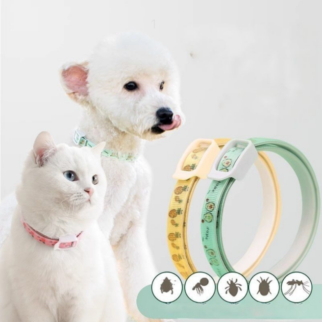 르와핏 강아지 진드기 퇴치제 고양이 모기 벌레 해충방지목걸이 기피제 1+1, 그린, 2개, 36ml