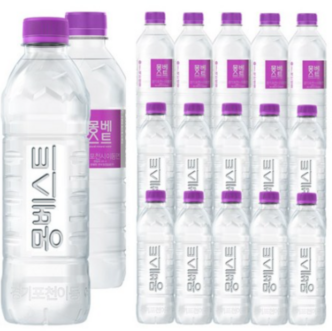 몽베스트 생수, 500ml, 20개