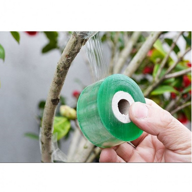 원예용 접목테이프 식물테이프 50mm 5cm, 1개