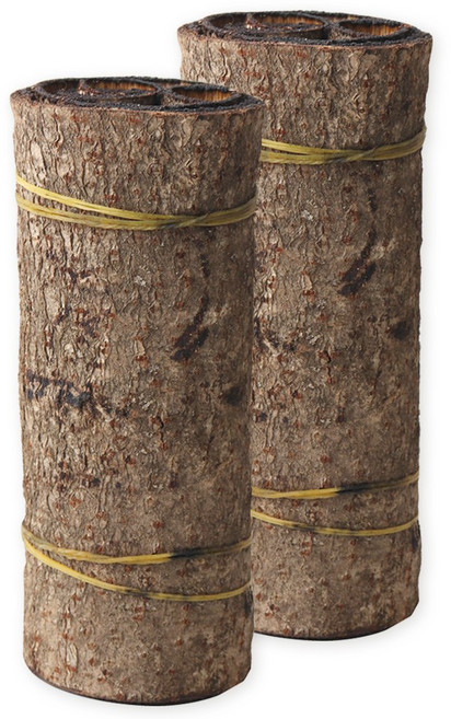 동의한재 국산 참 옻나무 껍질 옻껍질, 2개