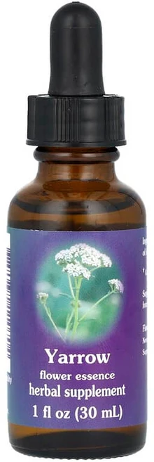 Flower Essence Services 서양 톱풀 플라워 에센스 30ml(1fl oz) FES-11070, 1개, 30ml - 쿠팡