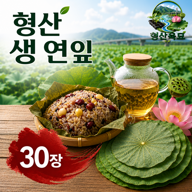국산 생연잎 연잎밥용 신선 대엽 당일수확 형산육묘 30매, 1개, 1kg