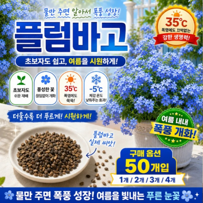 [초보자도 쉽고] 플럼바고 드레이프 블루 스노우 씨앗, 2개, 50개입
