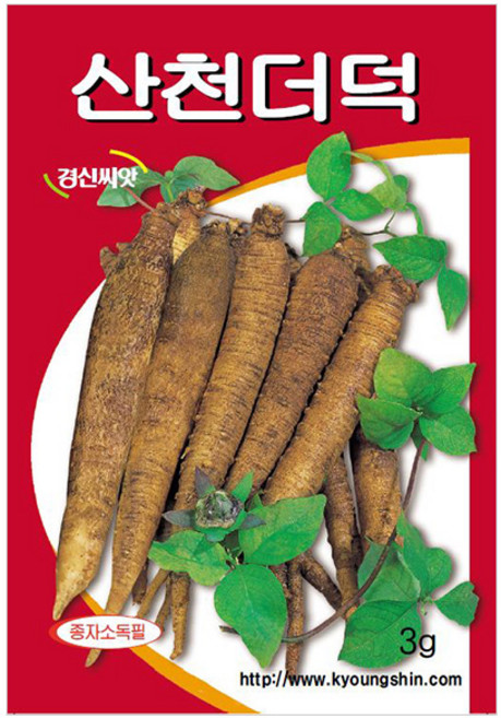 세인화분 국산 산천 더덕 3g - 씨 씨앗 더덕씨 더덕씨앗, 1개