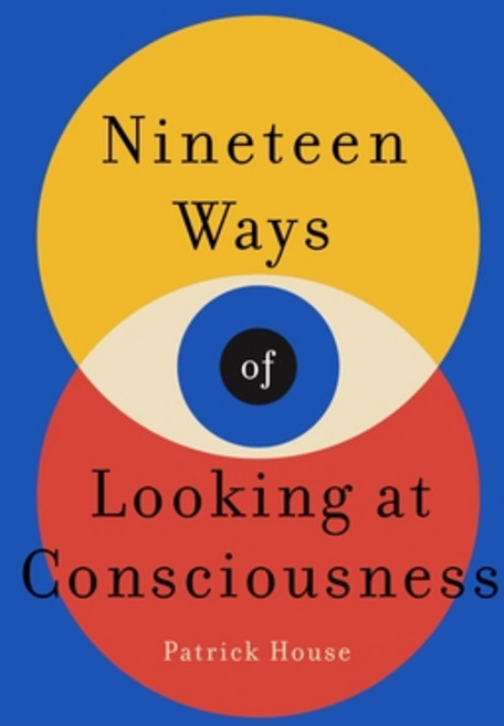 (영문도서) Nineteen Ways of Looking at Consciousness Hardcover, St. Martin's Press, English, 9781250151179