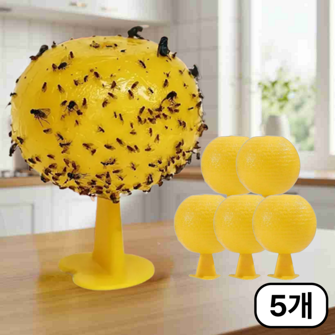 DY 초파리트랩 날파리끈끈이 나방 파리 초파리없애는법, 5개, 1개입