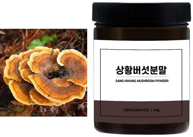 국내산 상황버섯100%분말 100g, 1개