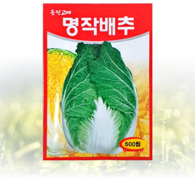 농사친구 명작배추 500립 씨앗 동원 씨 종자 김장 배추 무 채소 텃밭 베란다 모종 불암 토광 알타리 베타, 1개