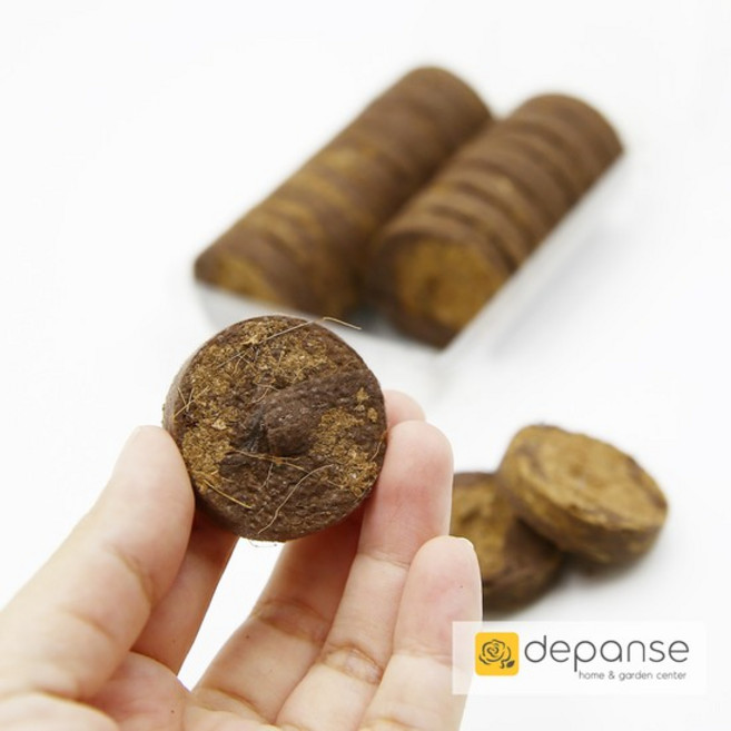 데팡스 육묘 식물 새싹 재배기 압축토 직경35mm 삽목상토 파종상토 코코플러그 펠렛, 20코코플러그, 1개