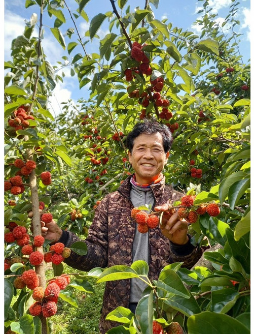 다다농장 무농약 꾸지뽕열매 5kg 10kg (농장직접판매), 1개