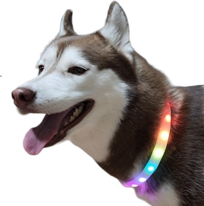 강아지 LED 목걸이 무지개 목줄 야광 팬던트 넥밴드, 1개