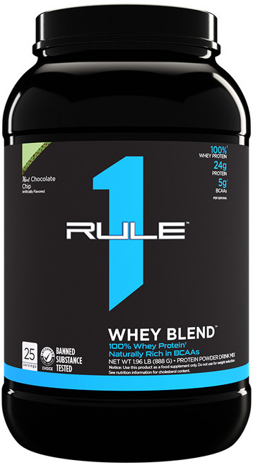 Rule1 룰원 웨이블렌드 민트초콜릿칩 0.89kg, 890g, 1개