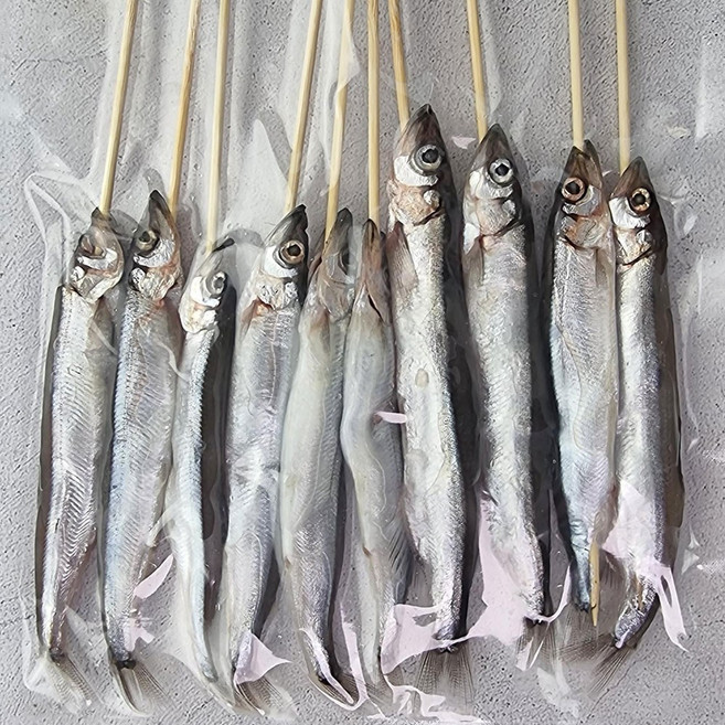 열빙어 알배기 시사모 1kg 50미 내외, 열빙어꽂이(20미), 1개