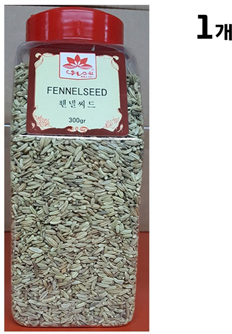 회향차 시드 펜넬 씨드 300g 씨 산미나리 씨앗