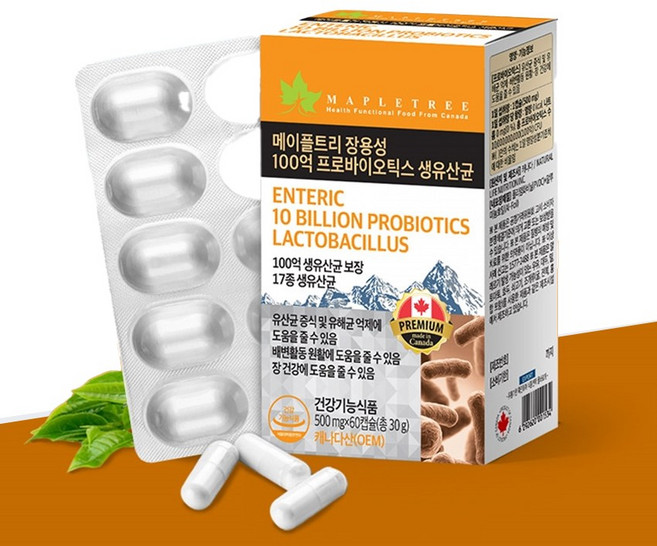 메이플트리 장용성 프로바이오틱스 생유산균 60캡슐 장케어 쾌변유산균 장내유익균 배변 온가족유산균, 1개, 60정