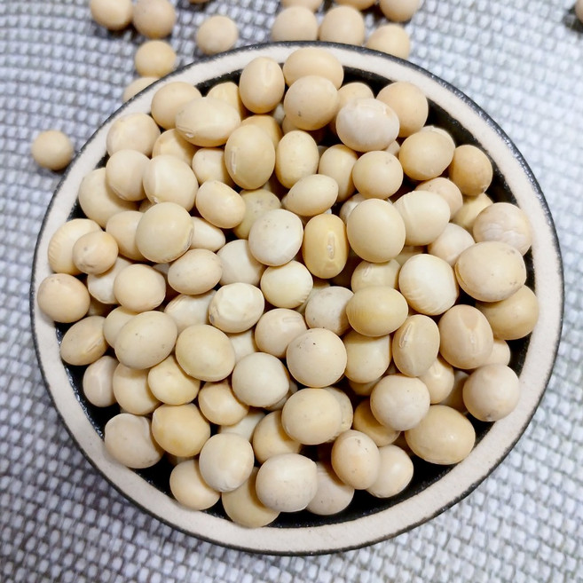 이슬처럼 국산 백태 5kg 메주콩 노란콩 ( 2025년산 ) 국내산, 1개