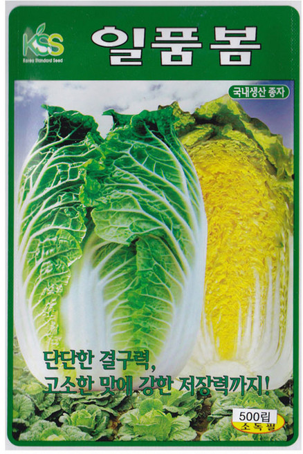 영농사 일품 봄배추 씨앗 500립 봄에 파종하는 배추씨, 5개