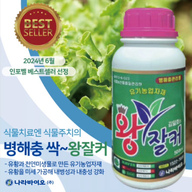 식물박사 김일호 왕잘커 친환경 병해충관리제, 1개