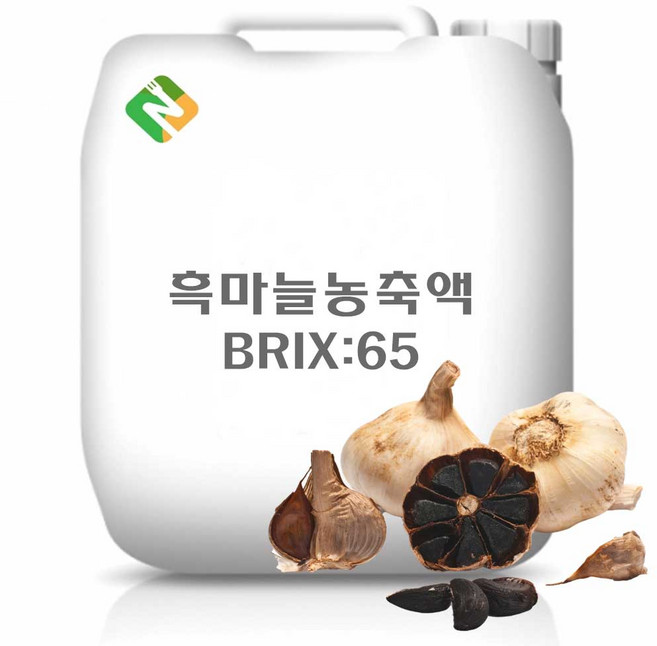 흑마늘농축액 20kg azi*50470VV, 단품, 1개