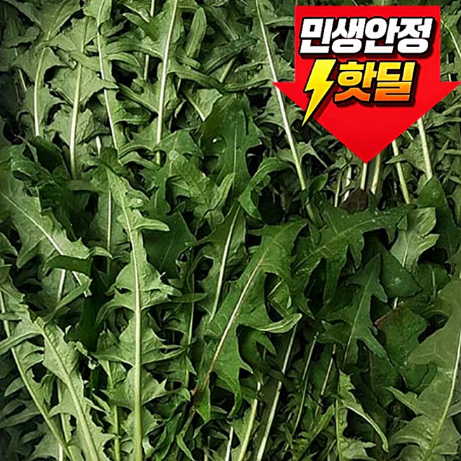 [산지직송] 전국판매1위 민들레 민들레나물, 1박스, 2kg - 쿠팡