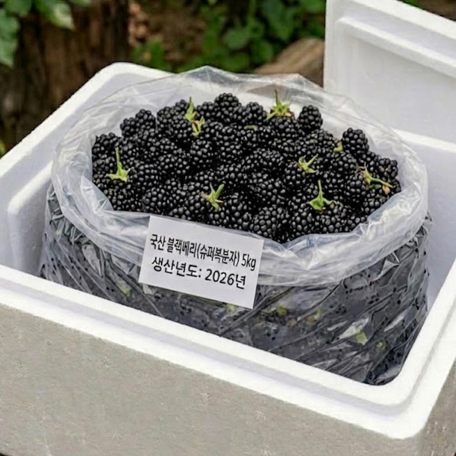 전북 고창 햇 슈퍼복분자 블랙베리 산딸기류 산지직송 급속냉동, 1개, 5kg