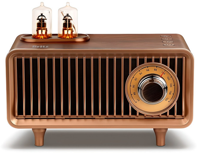 브리츠 라디오 블루투스 스피커, BA-MK250, 혼합색상