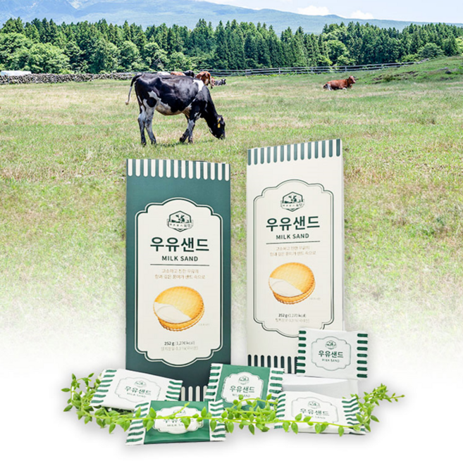 ㅇㅊㅁㅅ목장 우유샌드(대) 252g X 5BOX 아침미소목장우유샌드 (40개내외), 5박스