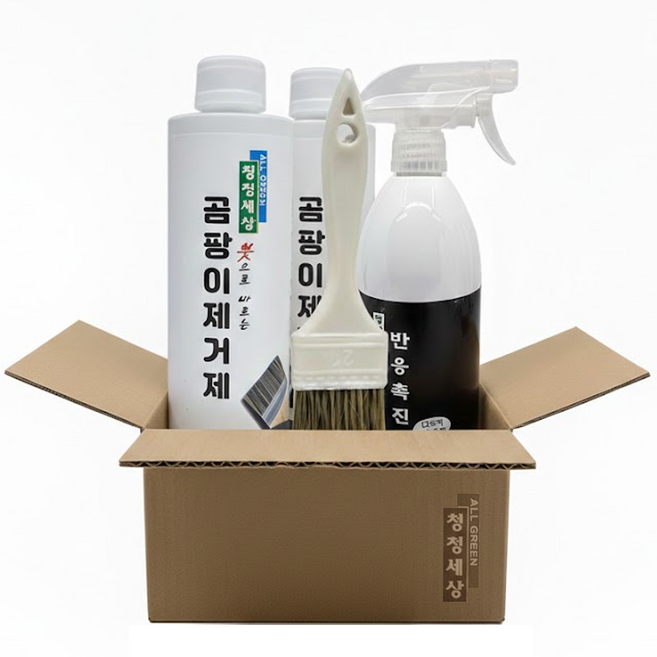 청정세상 곰팡이제거제500gx2(붓1)+반응촉진제 에코오투, 500g