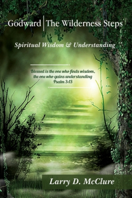 (영문도서) Godward The Wilderness Steps: Spiritual Wisdom and Understanding Paperback, Atticus Publishing, English, 9798892281683