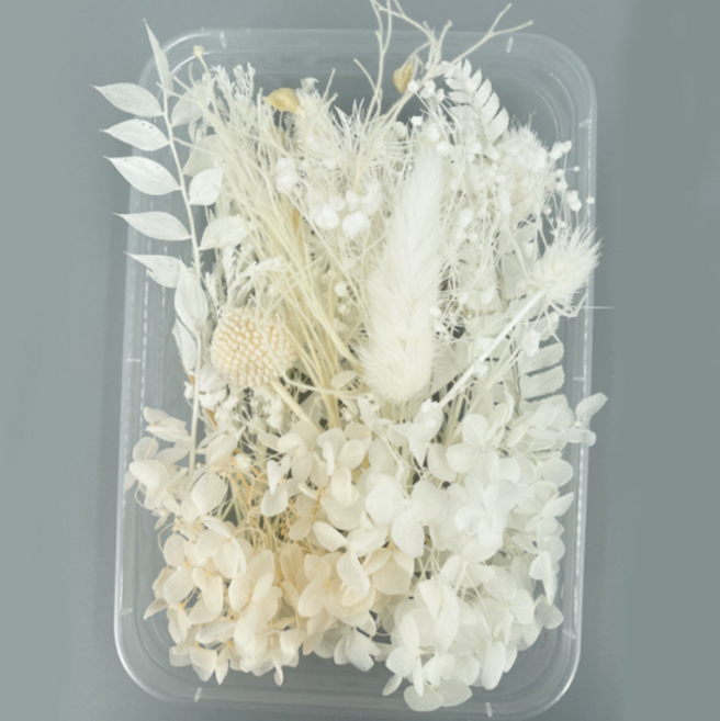 드그라쎄 드라이플라워 모음 박스, 01.화이트
