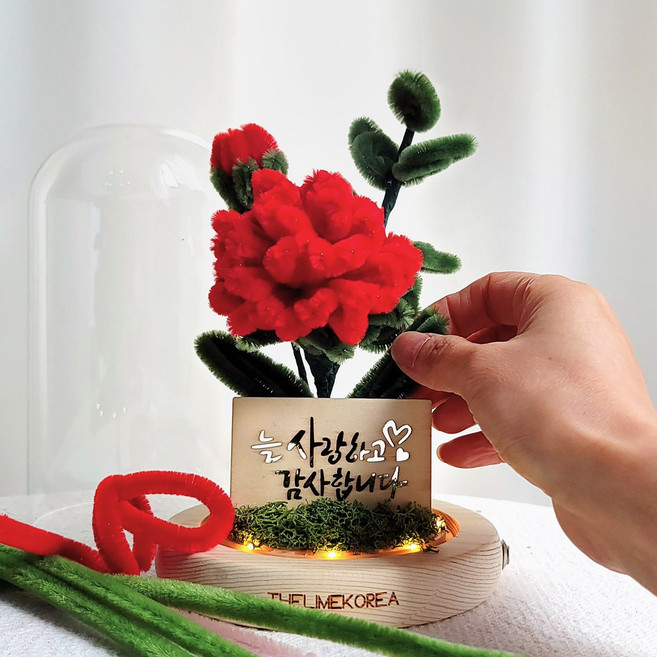 더라임코리아 DIY 모루 카네이션 유리돔 만들기 키트 학교 수업 재료, 레드, 1개