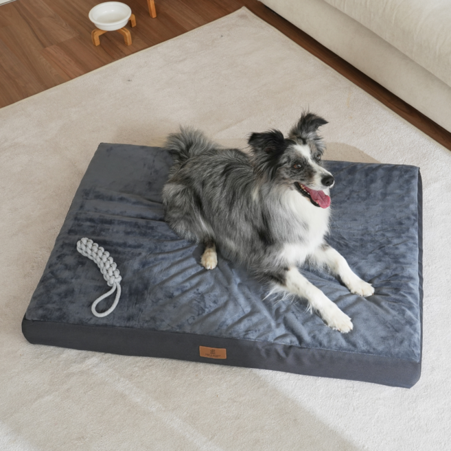 강아지 마약방석 소형견 중형견 방석 방수 애견 쿠션 반려동물 침대 푹신한 사계절 펫방석, 1개, 진그레이