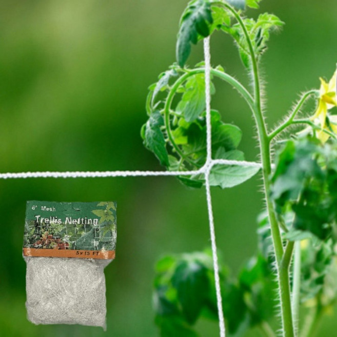 가정용 텃밭 식물지지망 원예용 넝쿨식물 오이망, 1개