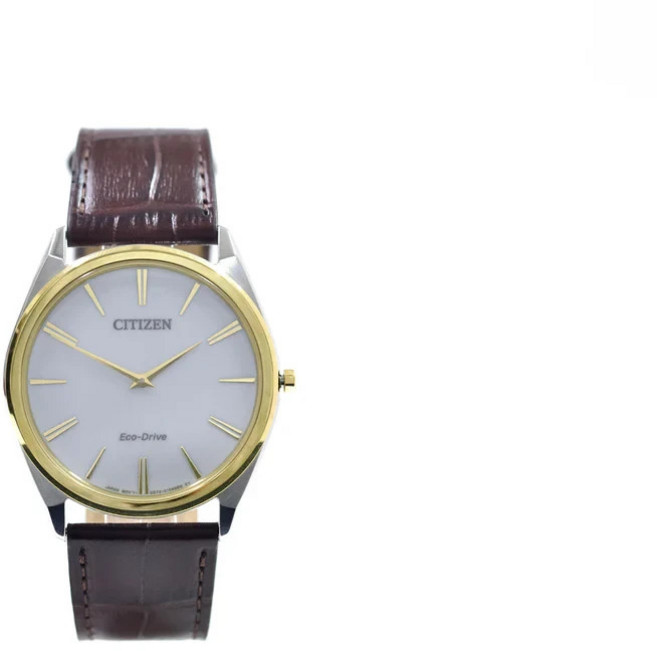 [Citizen] 시티즌 스틸레토 AR3074-03A 에코드라이브 아날로그 남성 시계 - 브라운