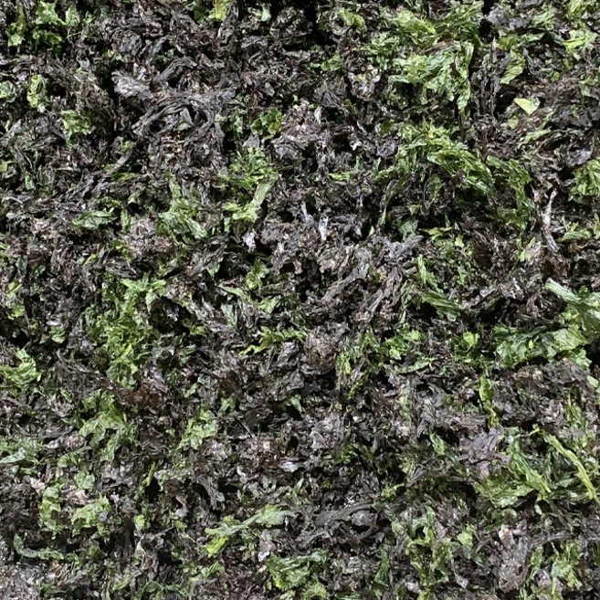 썸앤썸 찢은 건파래 업소용 대용량 도매, 1개, 500g