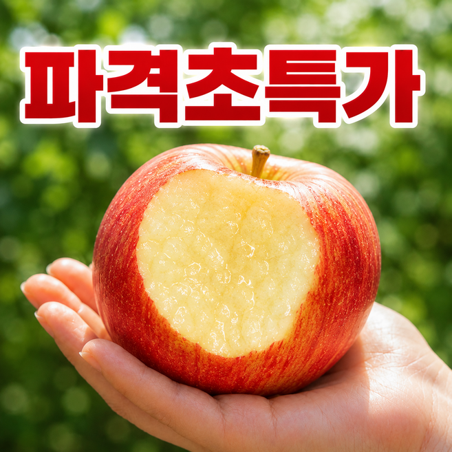 [초특가] 초고당도 꿀 부사 사과, 1박스, 3kg