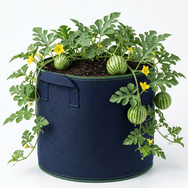 osshop 블루베리 묘목 부직포 화분 65리터 대형 50cm - 40cm, 부직포화분, 5개