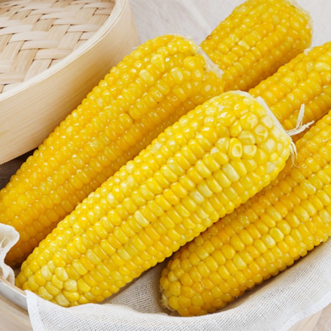 [초간단] 급속냉동 쫀득달콤한 신선 노랑이 찰옥수수, 1개, 6.6kg(20~23개)