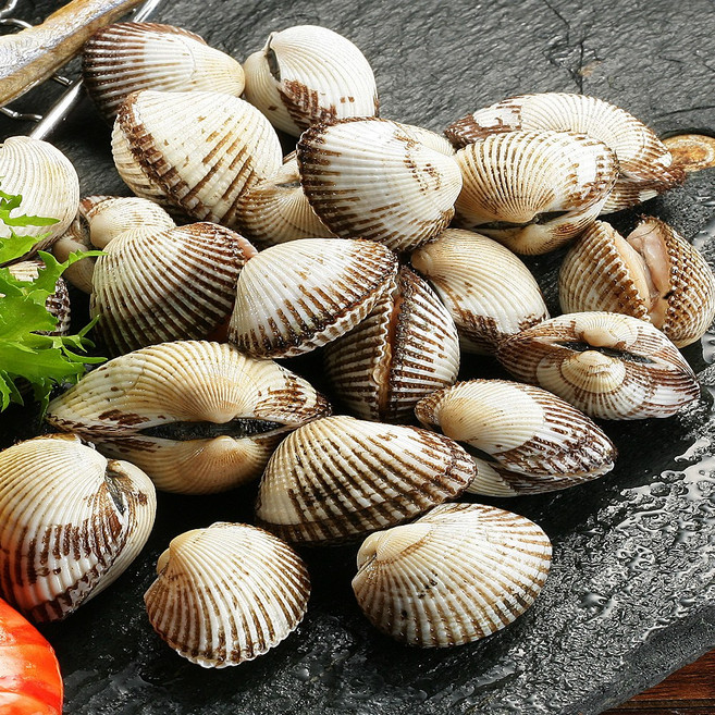 순천만수산 남해안 활 새꼬막 매일 새벽작업 벌교만 여자만 득량만 활꼬막, 1개, 3kg(소)