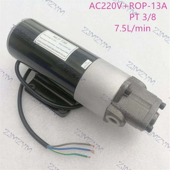전기 유압 오일 펌프 마이크로 기어 소형 오일 펌프 1800rpm 100W DC 12V DC 24V, 09 AC220V ROP-13A