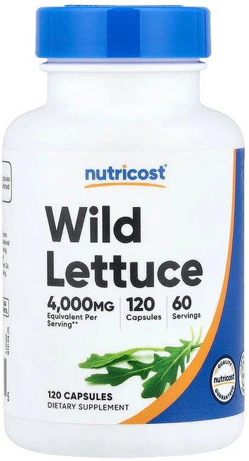 Nutricost 야생 상추 캡슐 120정(캡슐 1정당 80mg) NCS-57636, 1개 - 쿠팡