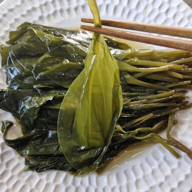 명이나물 절임 장아찌 업소용 최상의 맛, 10kg, 1개