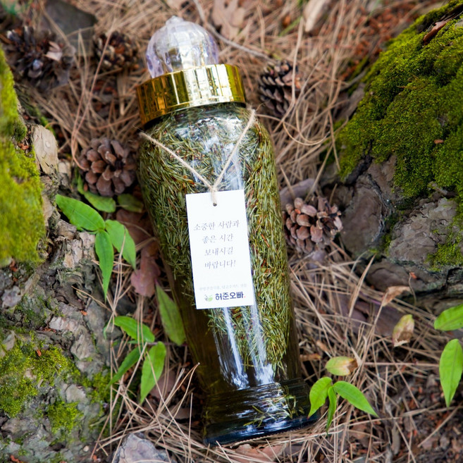 허준오빠 솔잎주 1L 기능성뚜껑 담금주키트, 솔잎주키트 1L 기능성뚜껑, 1세트