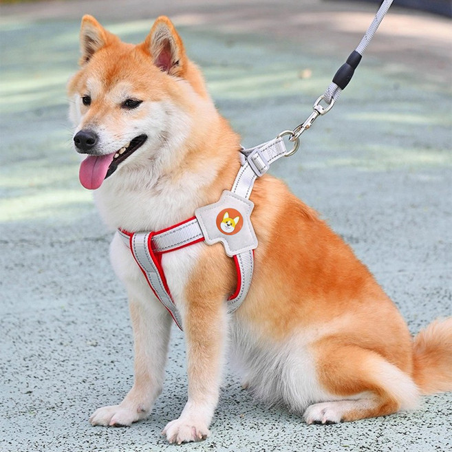 SEVOREN 베이직 강아지 하네스 + 리드줄 세트, 레드×S×1세트