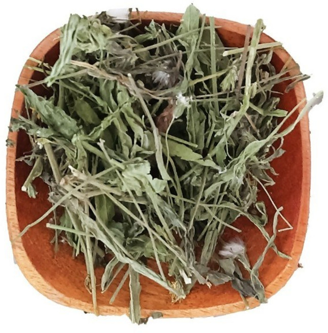 日生元 蒲公英茶 草本植物, 1個, 蒲公英, 100g, 1個裝